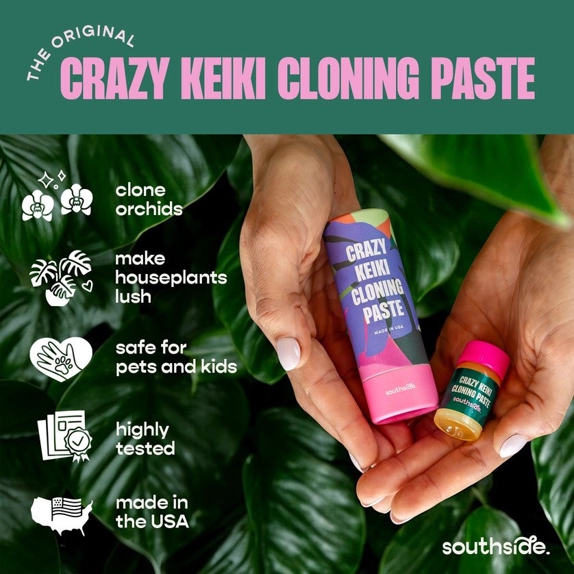 Crazy Keiki Cloning Paste | Rooted Plant Co.
